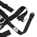 ARMOR Latch & Link with Late Model Style Ratchet Lap Assembly view 4