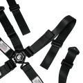 ARMOR Camlock with Pull Down Lap view 3