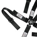 ARMOR Camlock with Pull Down Lap view 4