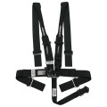 Latch & Link with Pull Down Lap (3" buckle)