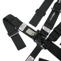 Latch & Link with Pull Down Lap (3" buckle) view 3