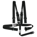 Latch & Link with Late Model Style Ratchet Lap Assembly