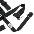 Latch & Link with Late Model Style Ratchet Lap Assembly view 4