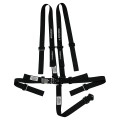Latch & Link with Pull Down Lap