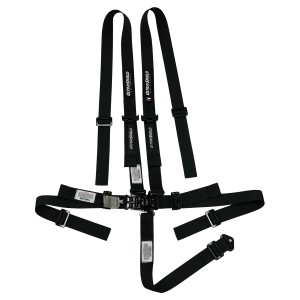 Latch & Link with Pull Down Lap