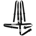 Latch & Link with Ratchet Lap Assembly