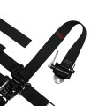 Latch & Link with Ratchet Lap Assembly view 4