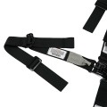 Junior Quarter Midget Belt view 3