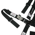 Junior Pull Down Lap Harness view 3