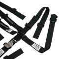 Junior Pull Down Lap Harness view 4