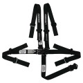 Junior Pull Up Lap Belt Adjustment