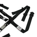 Junior Pull Up Lap Belt Adjustment view 4