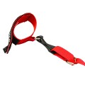SFI 3.3 Junior Arm Restraints view 3
