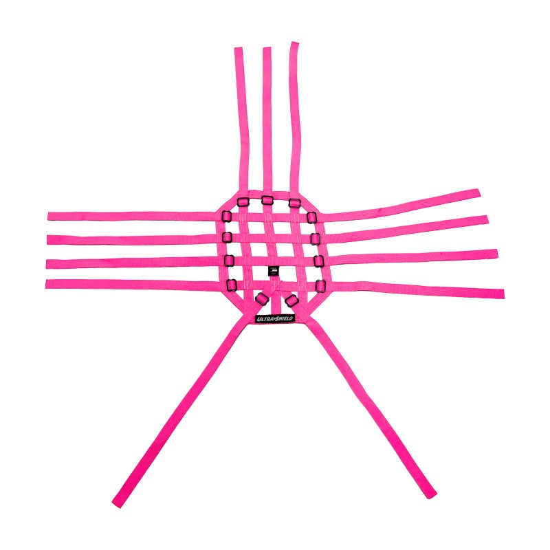 Quarter Midget Roll Cage Roof Net