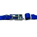 Sprint Roll Cage Net view 3